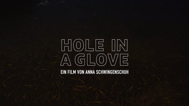 vimeo 156583736 - Hole in a Glove